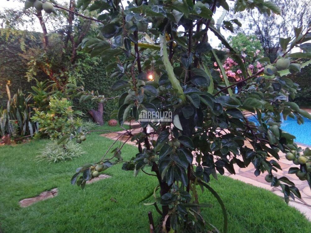 Casa, 4 quartos, 290 m² - Foto 4