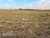 Terreno, 250 m² - Foto 1