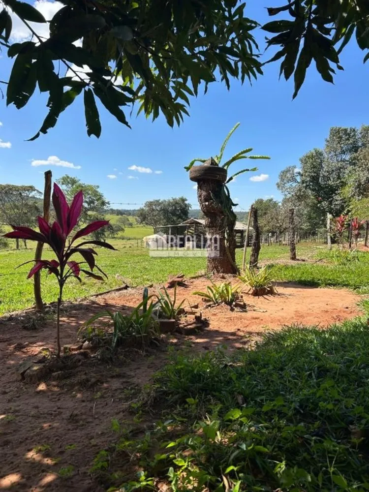 Chácara, 26 hectares - Foto 6