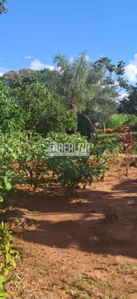 Chácara, 26 hectares - Foto 4