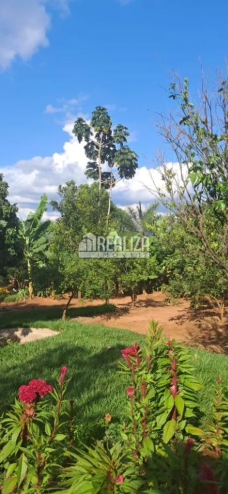 Chácara, 26 hectares - Foto 3