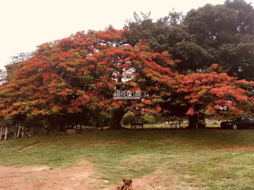 Fazenda, 3 quartos - Foto 6