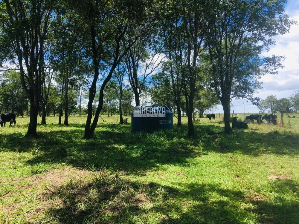 Fazenda, 3 quartos - Foto 7
