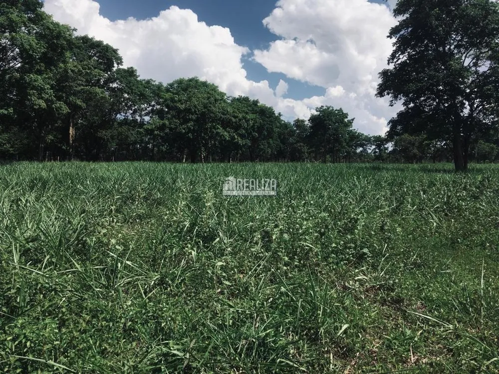 Fazenda, 3 quartos - Foto 1