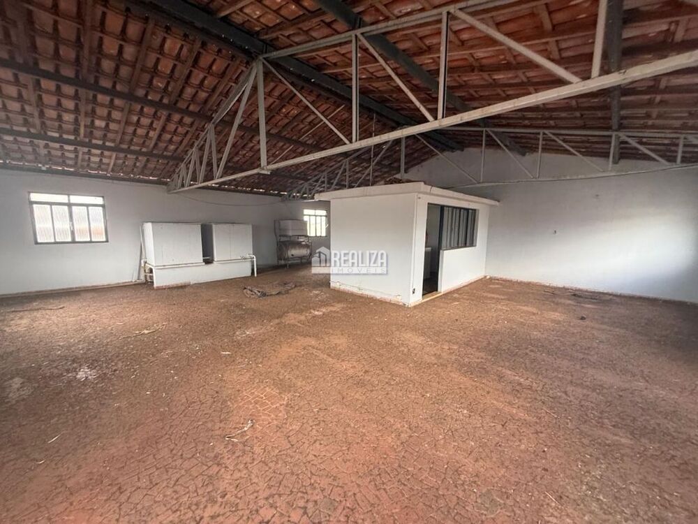 Casa, 7 quartos, 386 m² - Foto 4