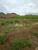 Terreno, 250 m² - Foto 2