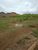Terreno, 250 m² - Foto 1