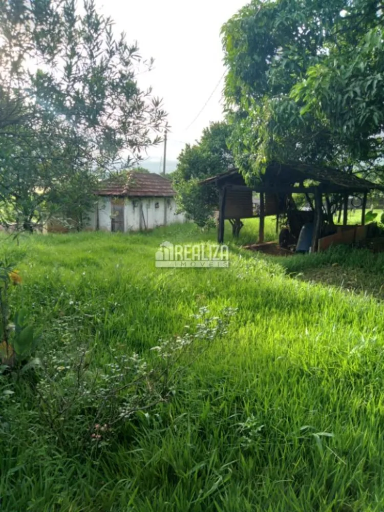 Chácara, 4 quartos, 1 hectares - Foto 6