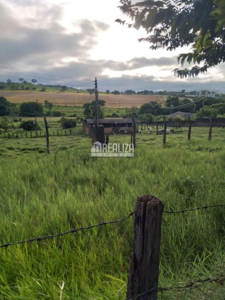 Chácara, 4 quartos, 1 hectares - Foto 4
