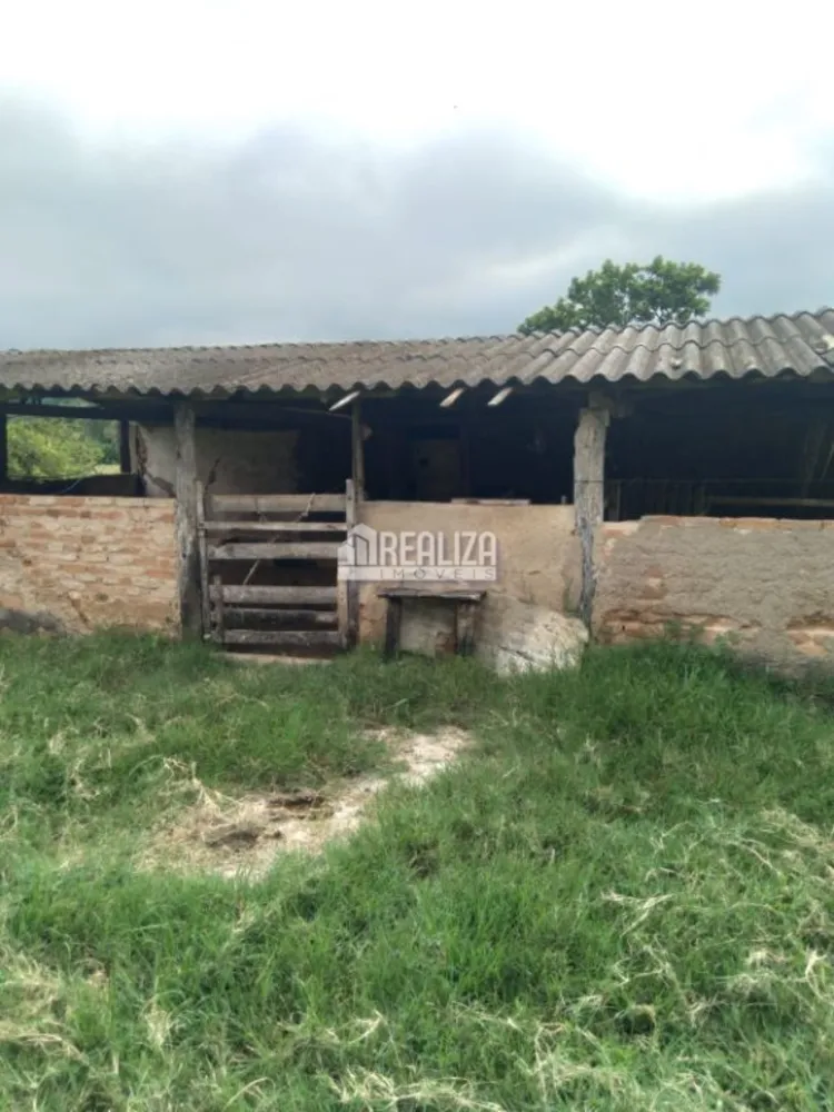 Chácara, 4 quartos, 1 hectares - Foto 7