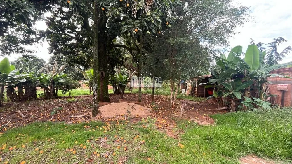Chácara, 4 quartos, 2000 m² - Foto 1