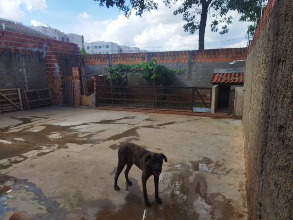Casa, 2 quartos, 170 m² - Foto 12