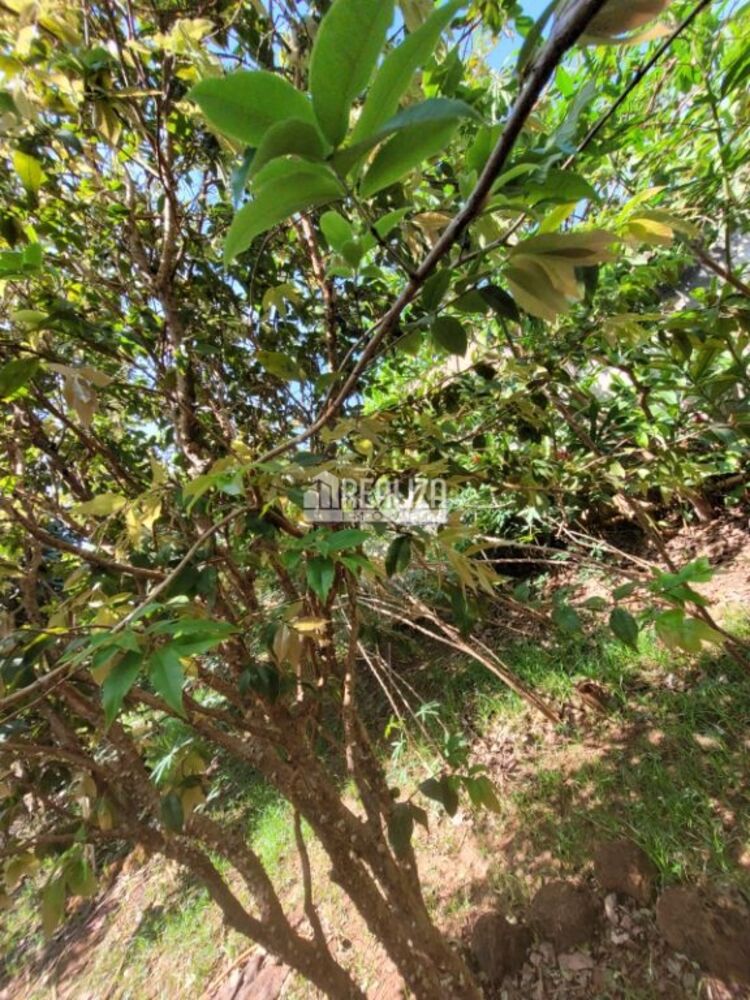 Terreno à venda, 424m² - Foto 8