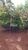 Terreno, 424 m² - Foto 3