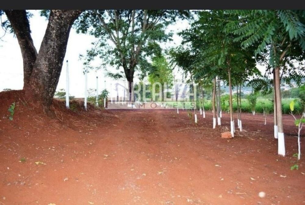 Chácara, 3 quartos, 4 hectares - Foto 28