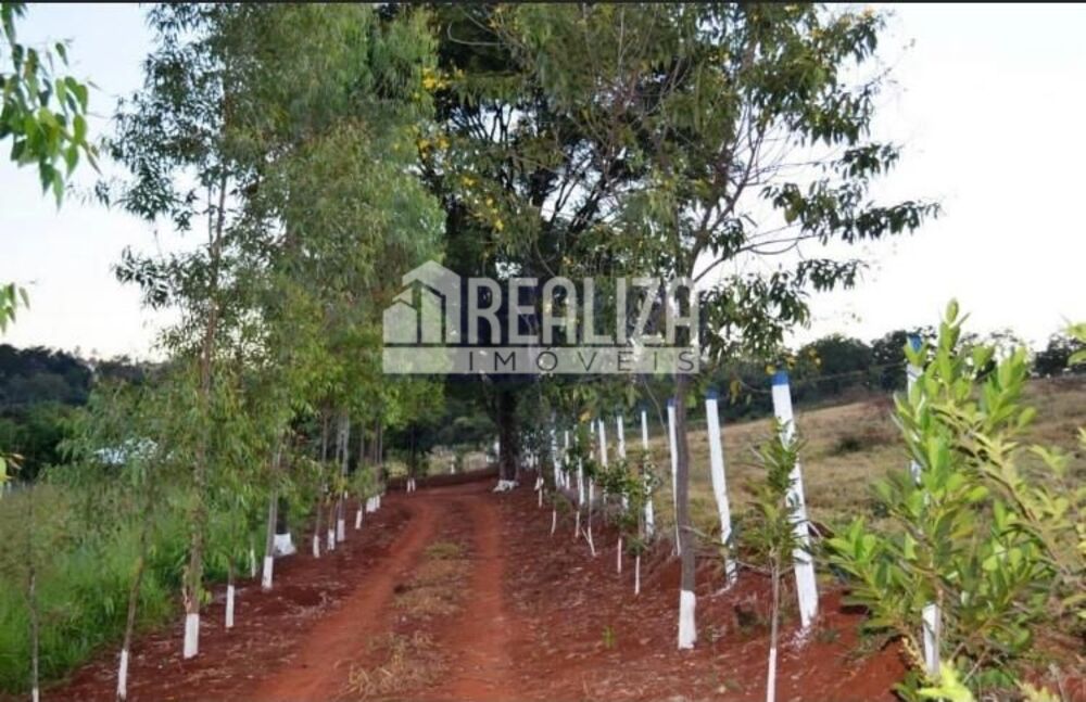 Chácara, 3 quartos, 4 hectares - Foto 25