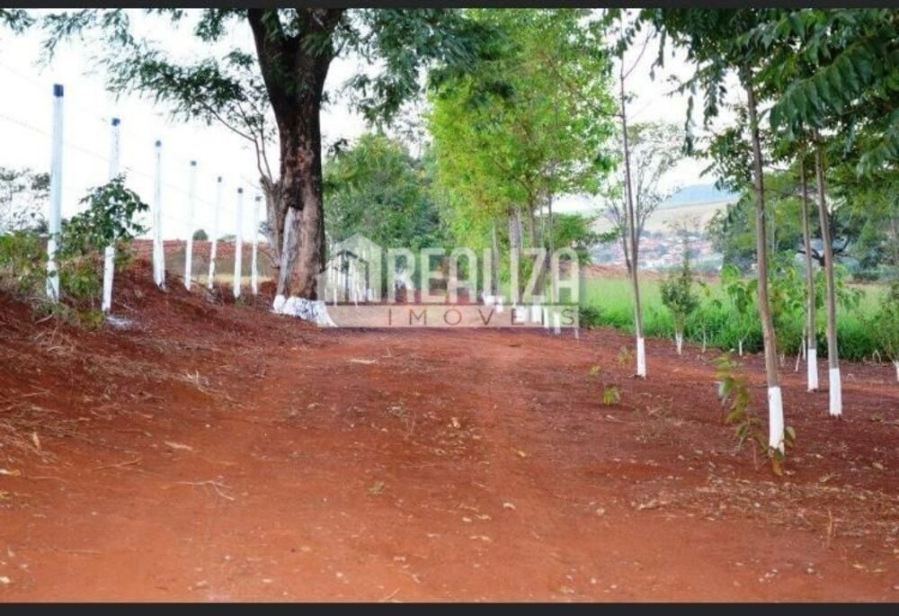 Chácara, 3 quartos, 4 hectares - Foto 29