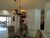 Casa, 4 quartos, 338 m² - Foto 4