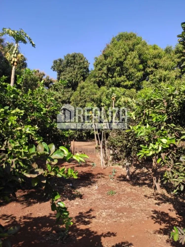 Chácara, 5 quartos, 150 m² - Foto 7