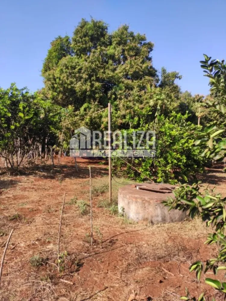 Chácara, 5 quartos, 150 m² - Foto 6