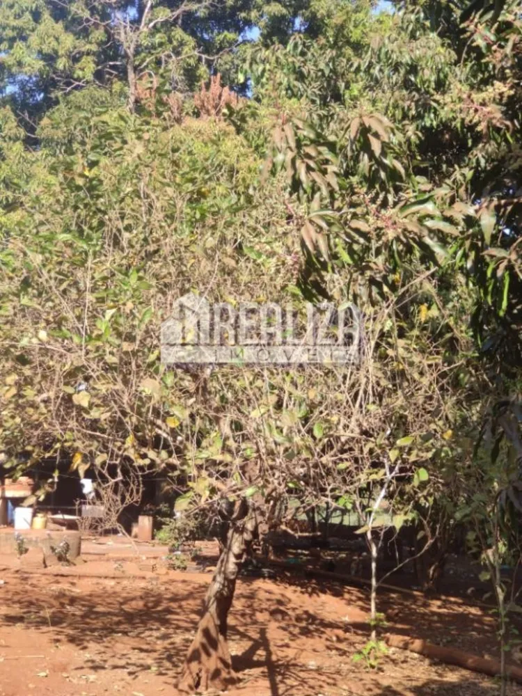 Chácara, 5 quartos, 150 m² - Foto 3