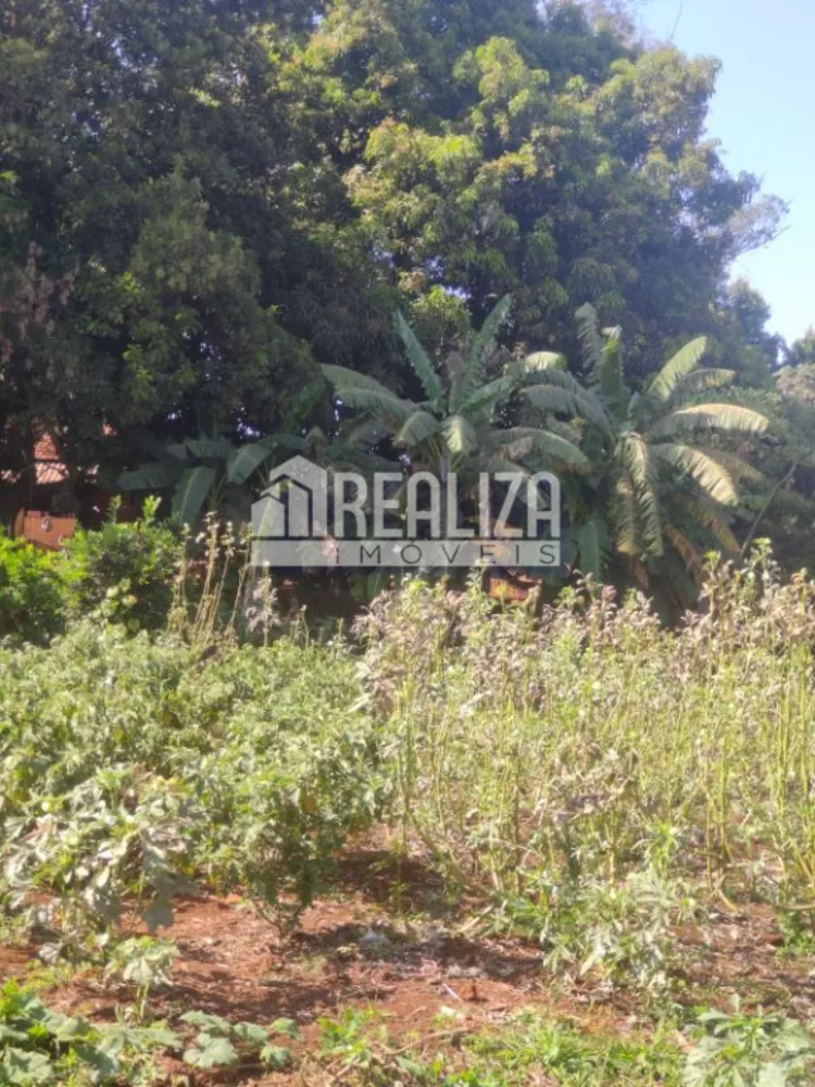 Chácara, 5 quartos, 150 m² - Foto 2