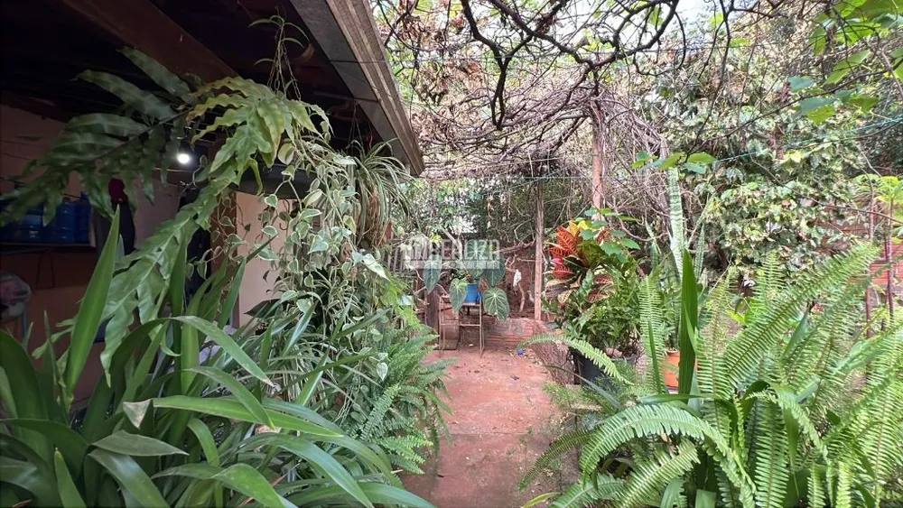 Casa, 6 quartos, 238 m² - Foto 6