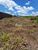 Terreno, 250 m² - Foto 3