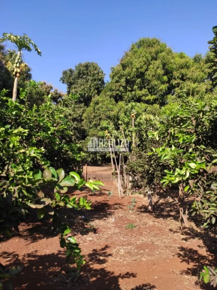 Chácara, 2 hectares - Foto 10
