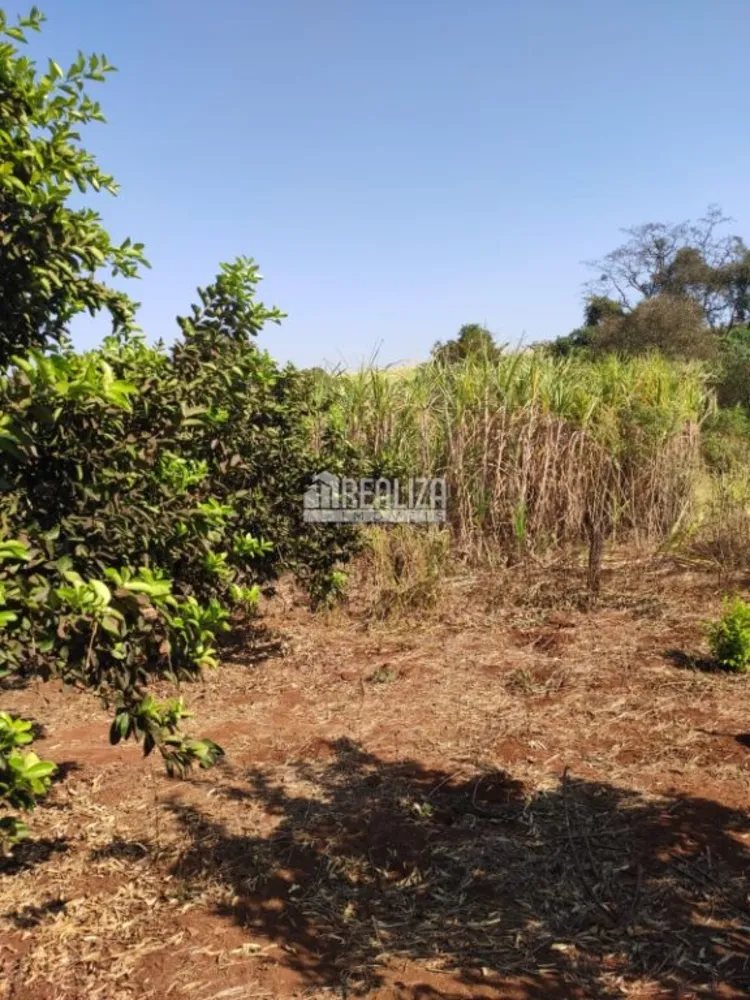 Chácara, 2 hectares - Foto 11