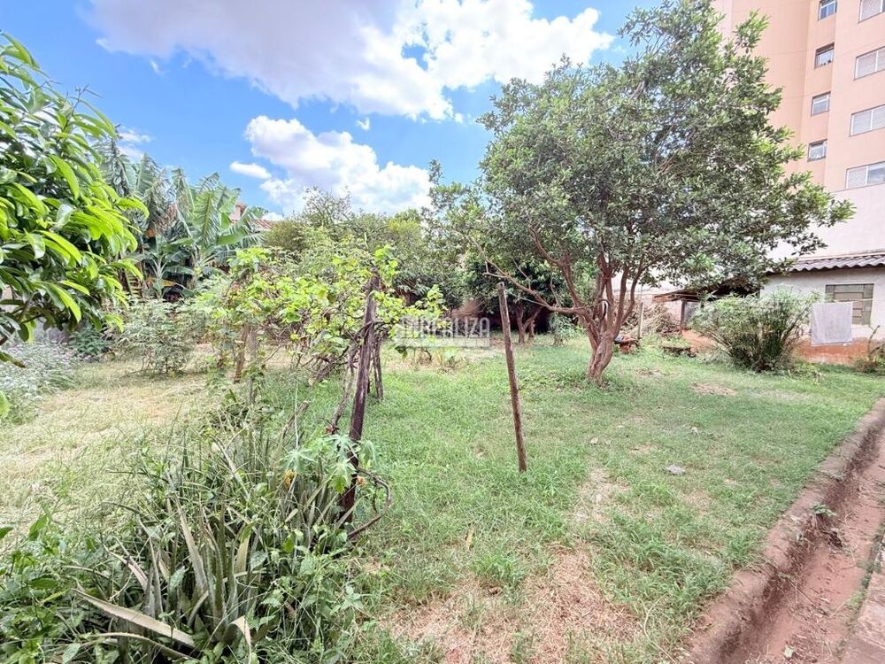 Casa, 3 quartos, 292 m² - Foto 5
