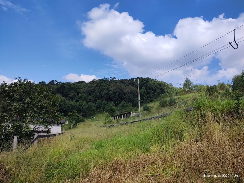 Sítio, 3 quartos, 160000 m² - Foto 12