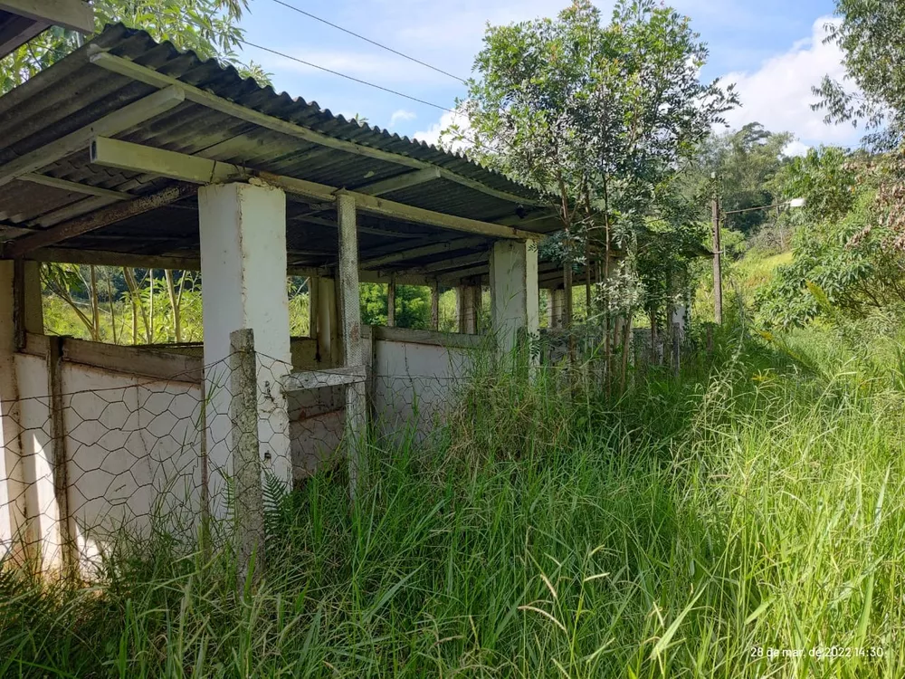 Sítio, 3 quartos, 160000 m² - Foto 18