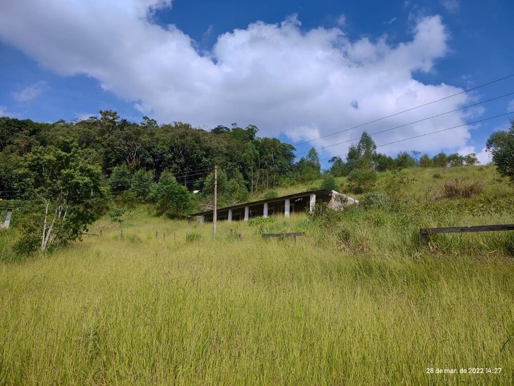 Sítio, 3 quartos, 160000 m² - Foto 15