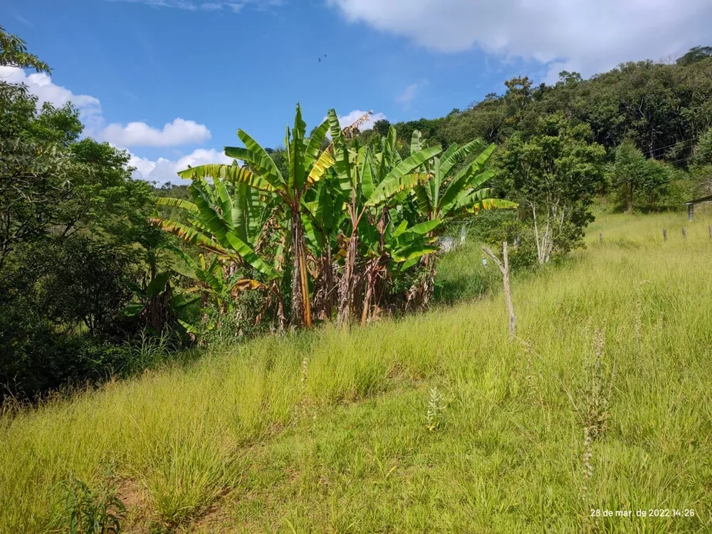 Sítio, 3 quartos, 160000 m² - Foto 5