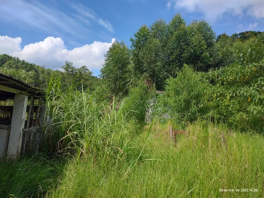 Sítio, 3 quartos, 160000 m² - Foto 6