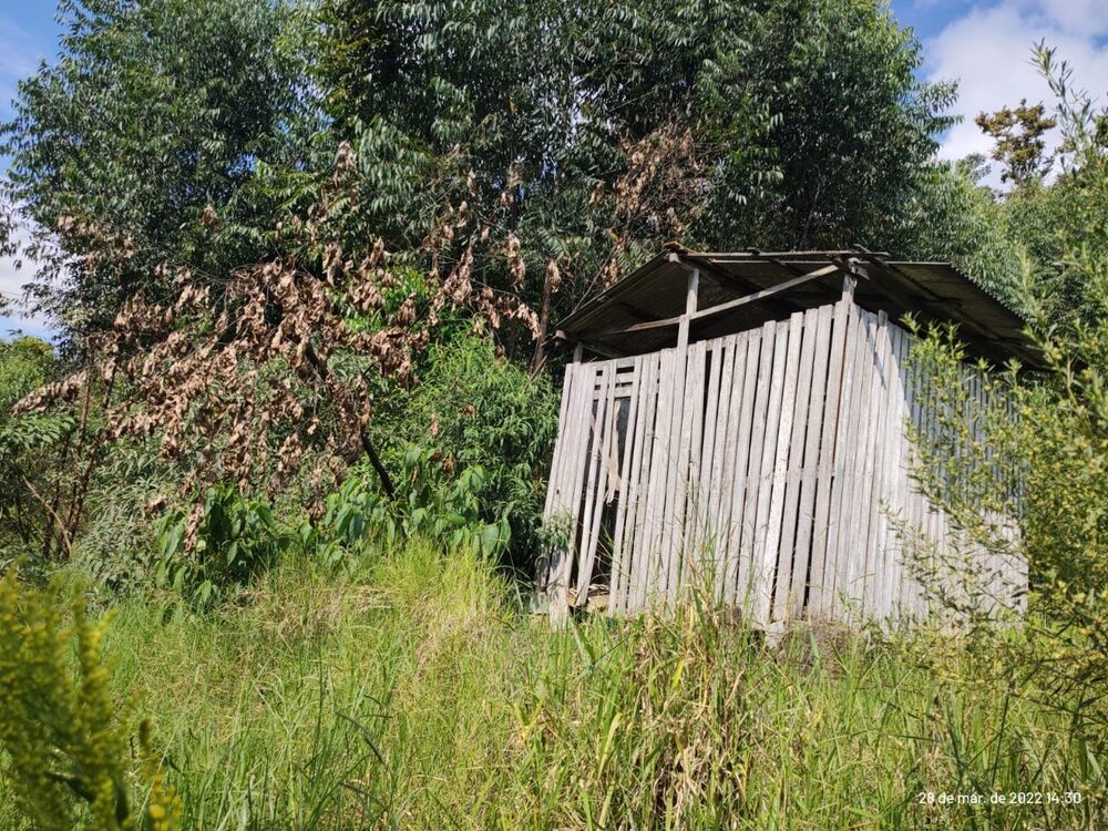 Sítio, 3 quartos, 160000 m² - Foto 16