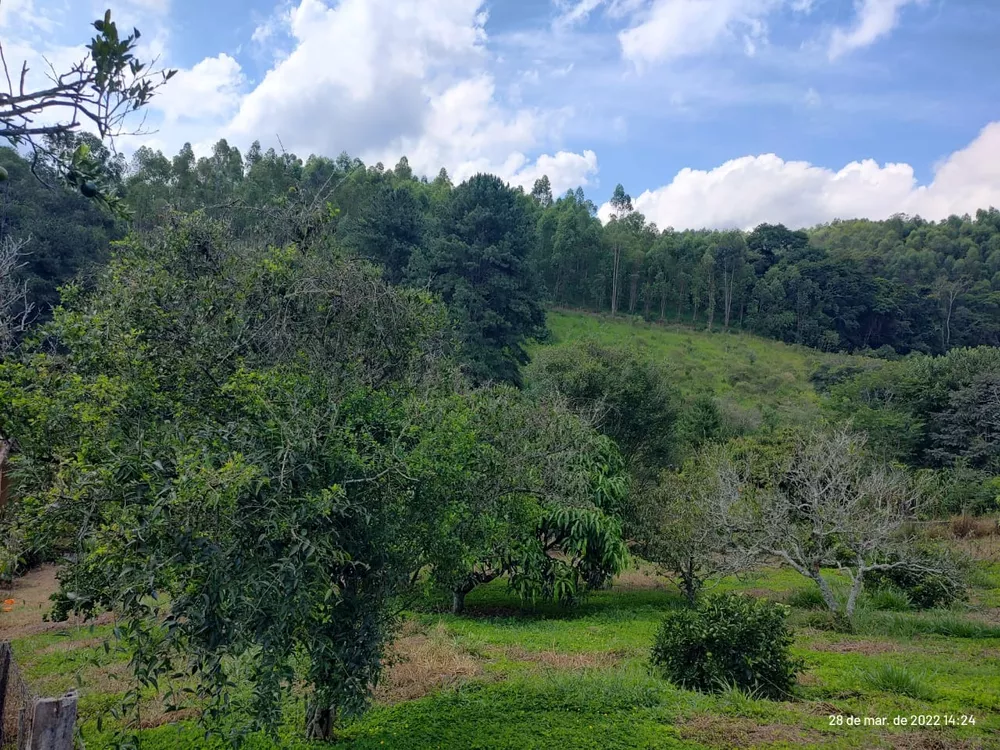 Sítio, 3 quartos, 160000 m² - Foto 22