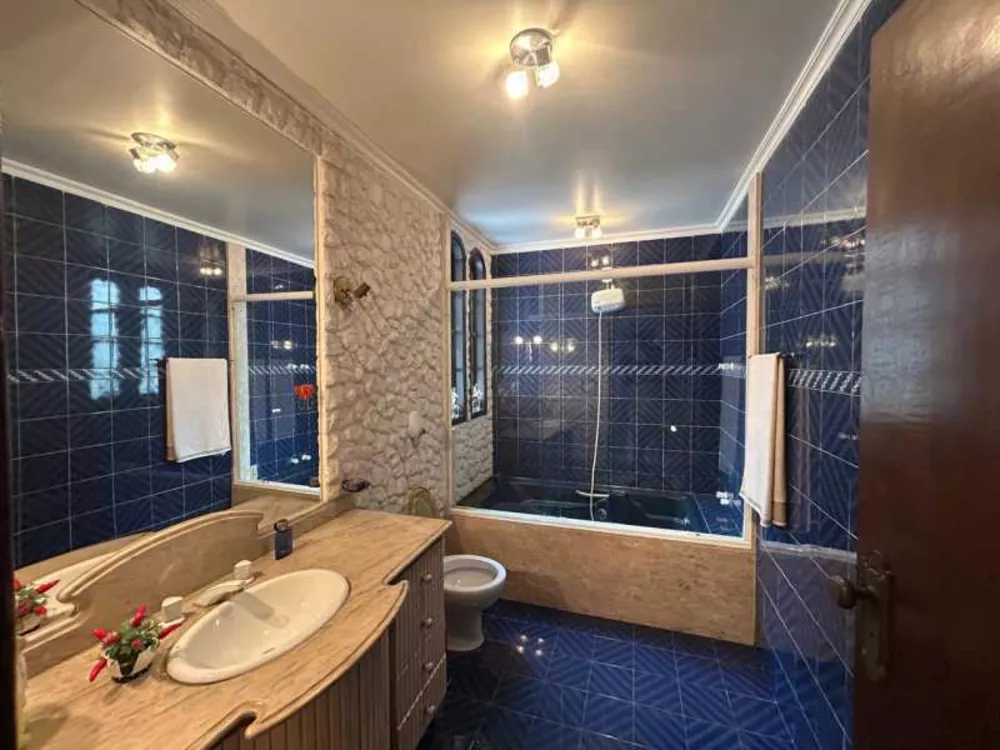 Casa, 4 quartos, 500 m² - Foto 11