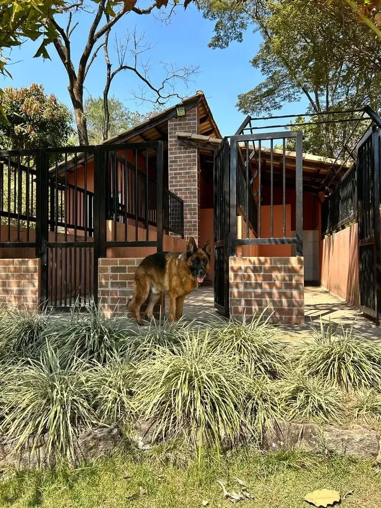 Chácara, 4700 m² - Foto 6