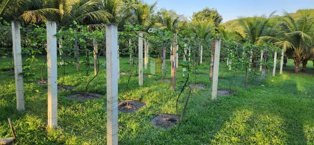 Fazenda à venda com 2 quartos, 14600m² - Foto 22