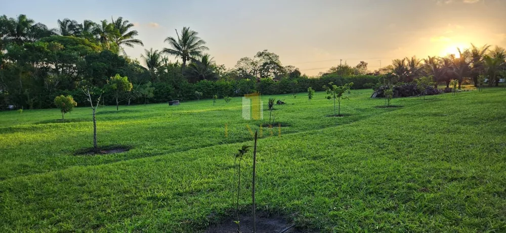 Fazenda à venda com 2 quartos, 14600m² - Foto 8