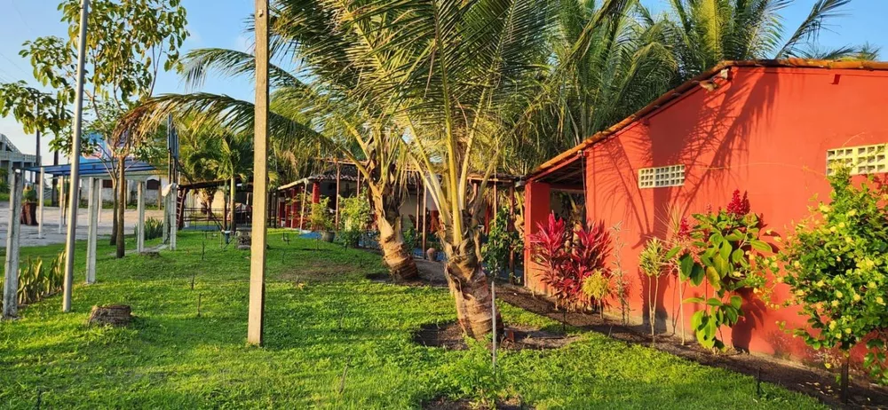 Fazenda à venda com 2 quartos, 14600m² - Foto 23