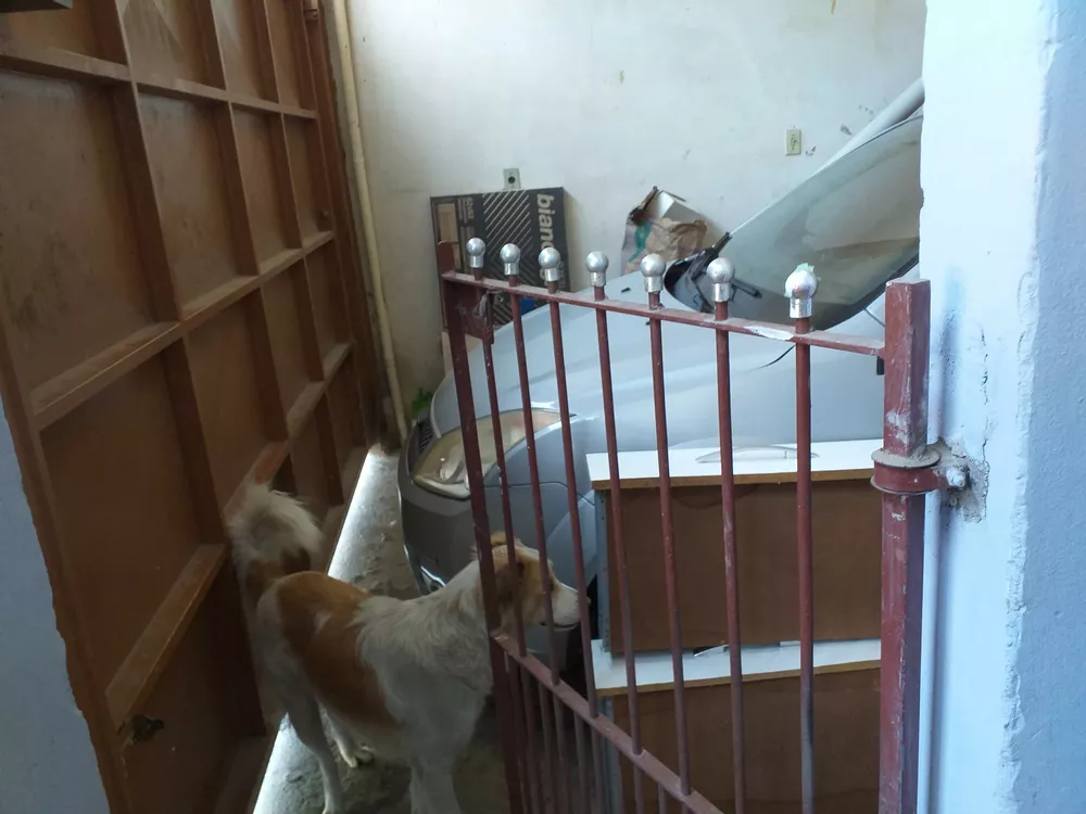 Casa, 3 quartos, 187 m² - Foto 45