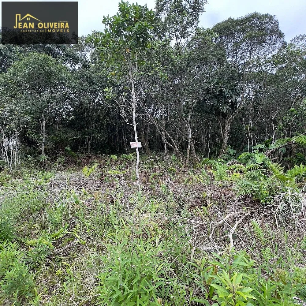 Terreno, 280 m² - Foto 7