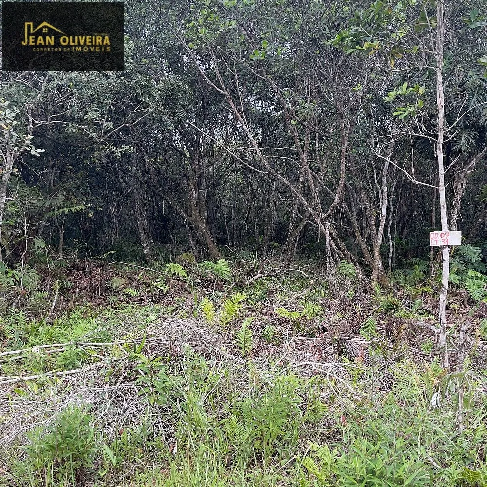 Terreno, 280 m² - Foto 5
