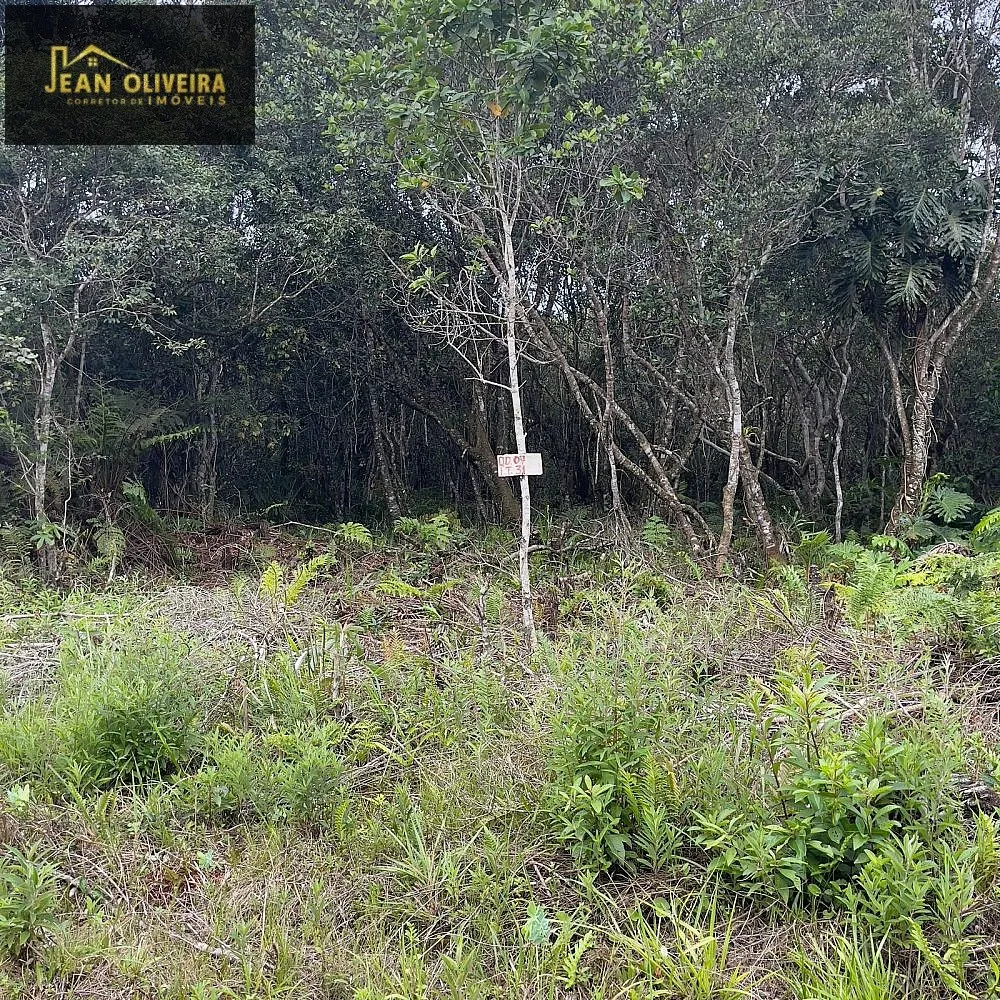 Terreno, 280 m² - Foto 6