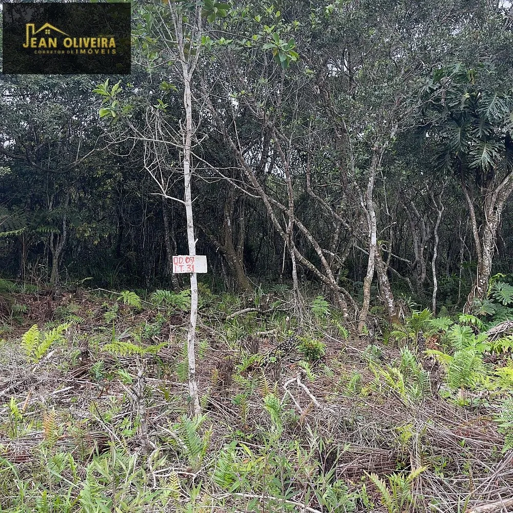 Terreno, 280 m² - Foto 3