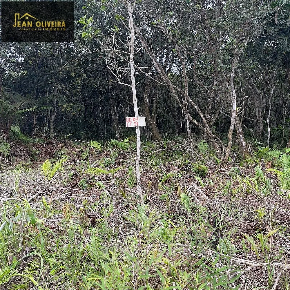 Terreno, 280 m² - Foto 8