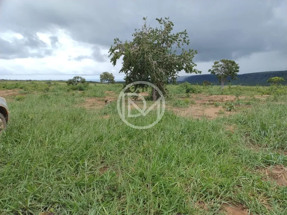 Fazenda, 2500 m² - Foto 4